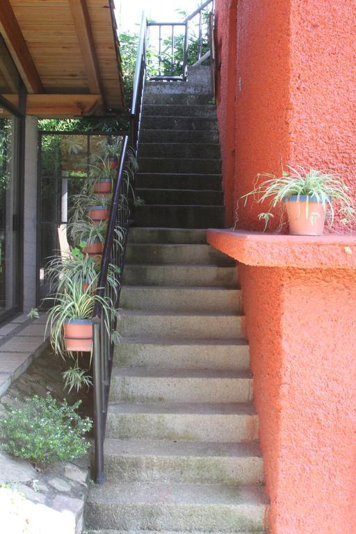 Ansei Hotel Valle de Bravo Phòng bức ảnh